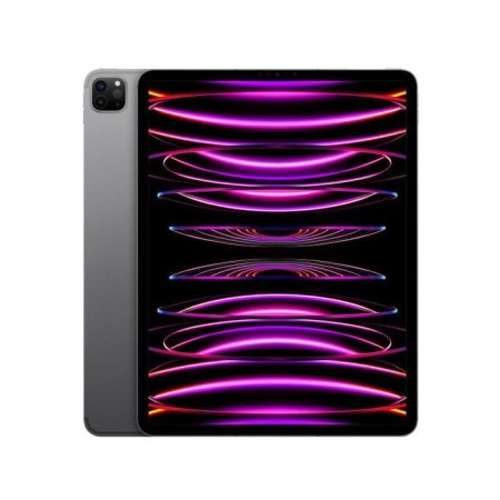 Apple 12.9-inch iPad Pro (6th) Cellular 2TB - Space Grey (US power ...