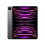 Apple 12.9-inch iPad Pro (6th) Cellular 2TB - Space Grey (US power ...