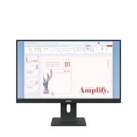 Monitor  Lenovo ThinkVision E24-40 23.8"IPS, FHD (1920x1080), 16:9, Brightness: 250 cd/m², Contrast ratio: 1300:1, Response time