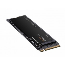 WDWD SSD 250GB BLACK M.2 2280 WDS250G3X0C