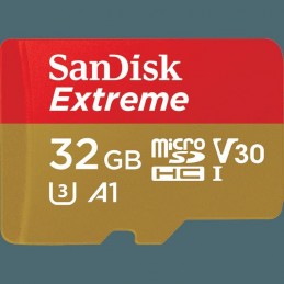 SANDISKMICROSDHC 32GB CL10 SDSQXAF-032G-GN6MA