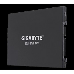 GIGABYTEGB SSD 256GB UD PRO SERIES 2.5"