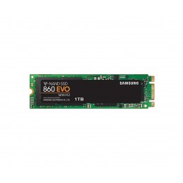 SAMSUNGSM SSD 1TB 860EVO M.2 2280 MZ-N6E1T0BW