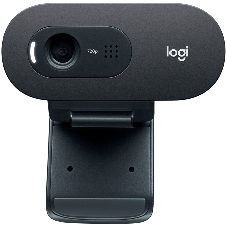 LOGITECH C505 HD Webcam - BLACK - USB- EMEA - 935